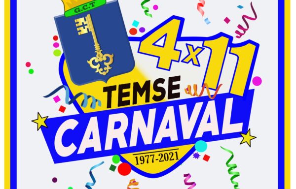 PIN 4×11 Temse carnaval